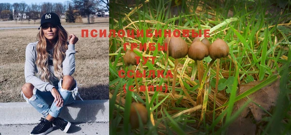 mdpv Балахна